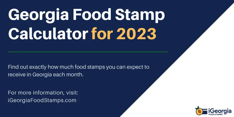 Georgia Food Stamps Income Limit for 2024 Georgia Food Stamps Help