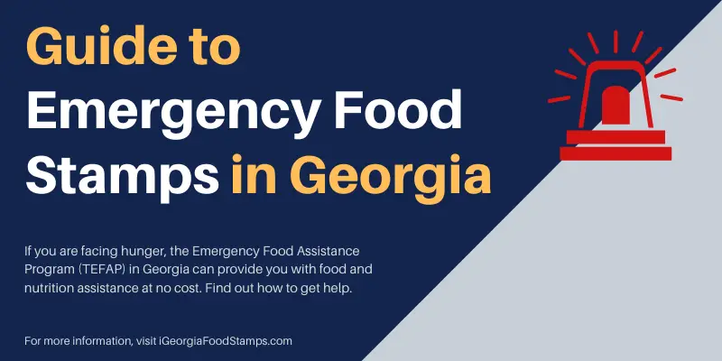 Emergency Food Stamps In Georgia [Guide] - Georgia Food Stamps Help